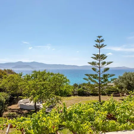 Ocean Dream Stelida (Naxos)